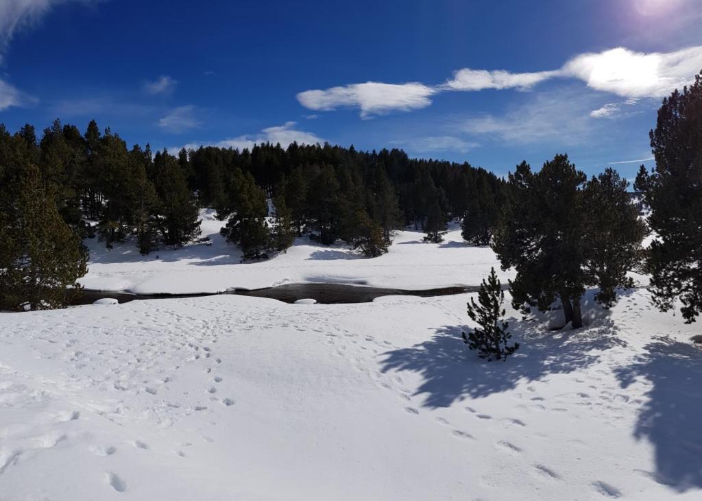 Chalet La Campagnette Eyne Dış mekan fotoğraf